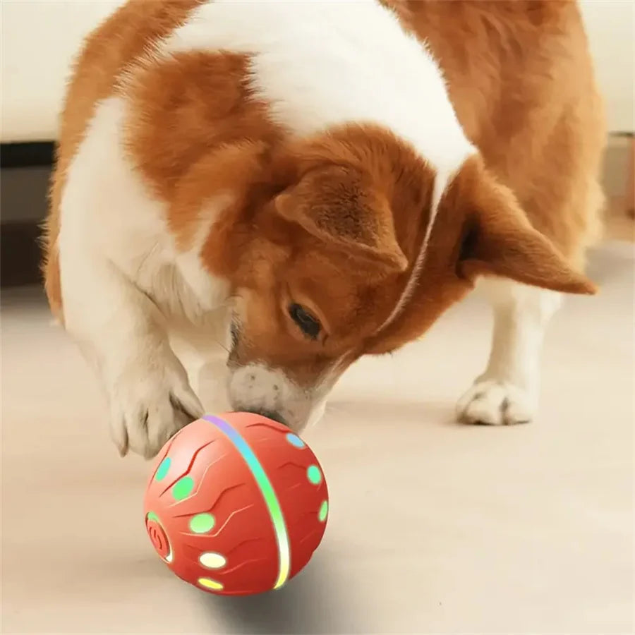 Smart Dog Toys Ball