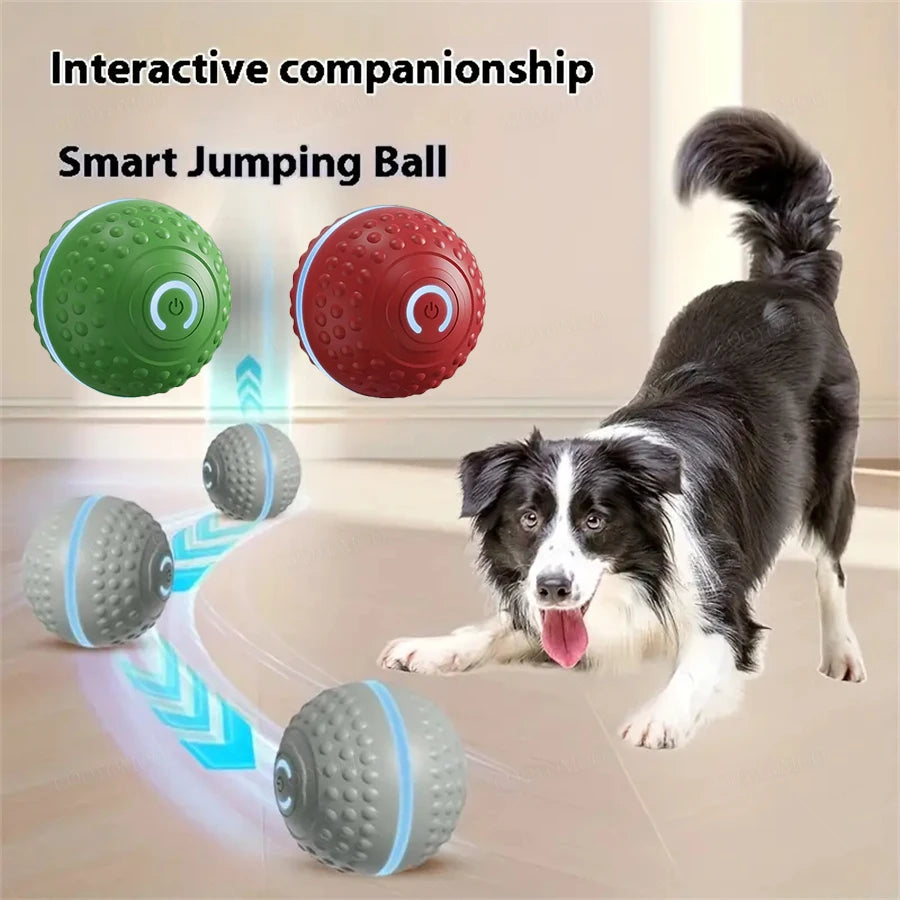 Smart Dog Toys Ball