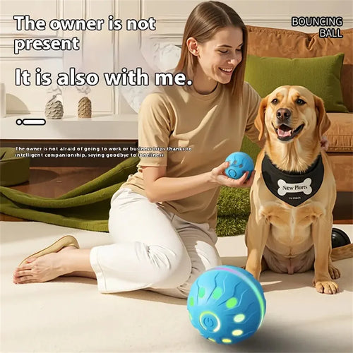 Smart Dog Toys Ball